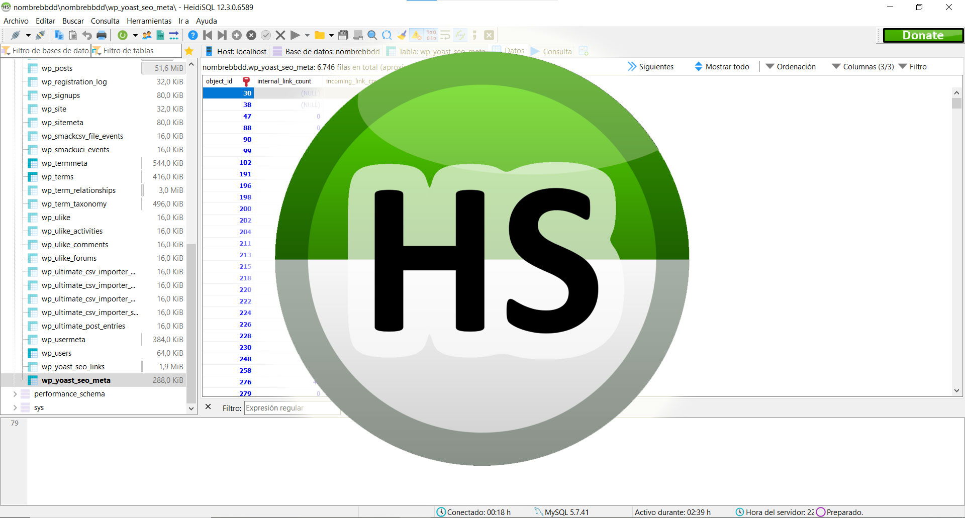 HeidiSQL: La herramienta gratuita de gestión de bases de datos para simplificar tu trabajo